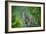 A Roadrunner In Green Spring Habitat On A South Texas Ranch-Jay Goodrich-Framed Photographic Print