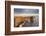 A rock arch on Dyrholaey Island seen in sunset sunlight, near Vik, south coast of Iceland-Nigel Hicks-Framed Photographic Print