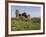 A Rock Outcrop on Hound Tor with Haytor Rocks on the Skyline, Dartmoor National Park, Devon, Englan-James Emmerson-Framed Photographic Print