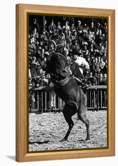 A Rodeo in Buenos Aires-Mario de Biasi-Framed Premier Image Canvas