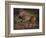 A Roe Deer in the Forest (Oil on Canvas)-Rosa Bonheur-Framed Giclee Print