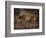 A Roe Deer in the Forest (Oil on Canvas)-Rosa Bonheur-Framed Giclee Print