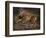 A Roe Deer in the Forest (Oil on Canvas)-Rosa Bonheur-Framed Giclee Print
