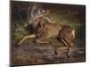 A Roe Deer in the Forest (Oil on Canvas)-Rosa Bonheur-Mounted Giclee Print