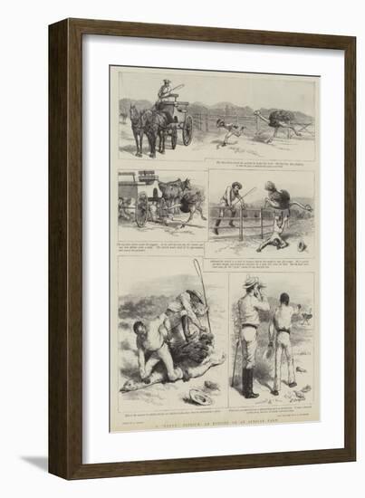 A Rogue Ostrich, an Episode on an African Farm-Godefroy Durand-Framed Giclee Print