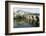 A Roman Bridge, Built in the Reign of the Emperor Tiberius, Spans the River Vidourle at Sommieres-Stuart Forster-Framed Photographic Print