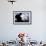 A Romanian Paratrooper Awaits His Signal to Jump Out of a C-130J Super Hercules-Stocktrek Images-Framed Photographic Print displayed on a wall