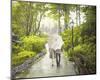 A Romantic Walk-Midori Greyson-Mounted Giclee Print