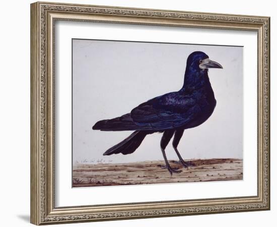 A Rook-Charles Collins-Framed Giclee Print