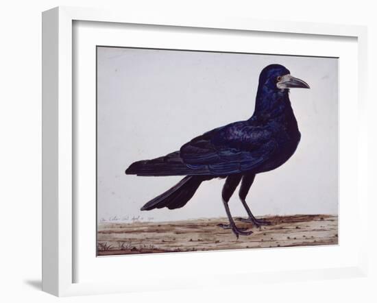 A Rook-Charles Collins-Framed Giclee Print