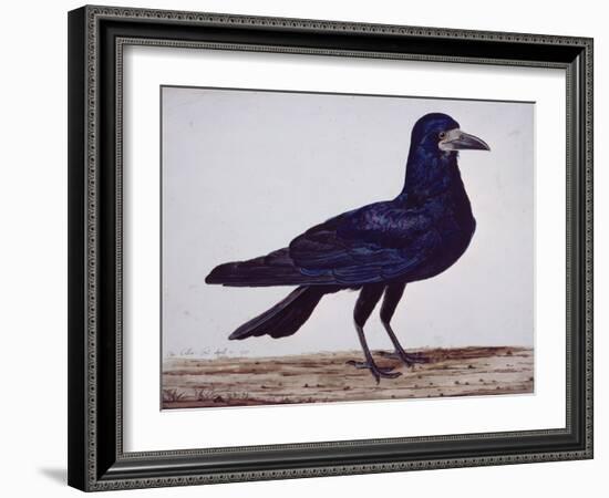 A Rook-Charles Collins-Framed Giclee Print