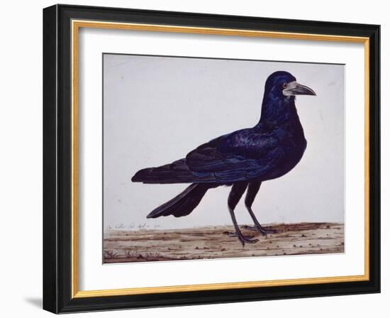 A Rook-Charles Collins-Framed Giclee Print