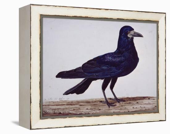 A Rook-Charles Collins-Framed Premier Image Canvas