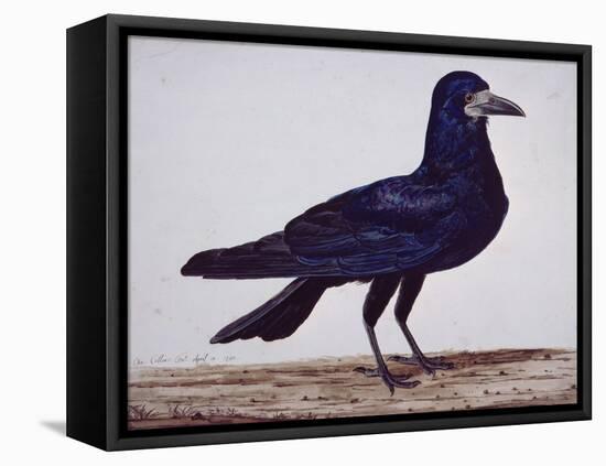 A Rook-Charles Collins-Framed Premier Image Canvas