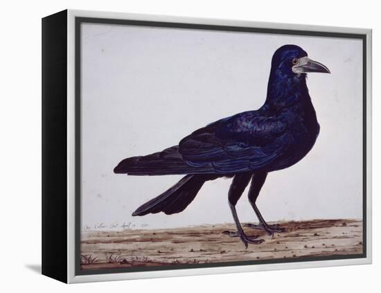 A Rook-Charles Collins-Framed Premier Image Canvas