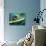 A Rope from a Boat-Katrin Adam-Photographic Print displayed on a wall