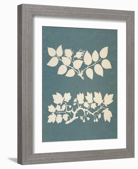 A Rose Branch and Jasmin Branch-Philipp Otto Runge-Framed Giclee Print