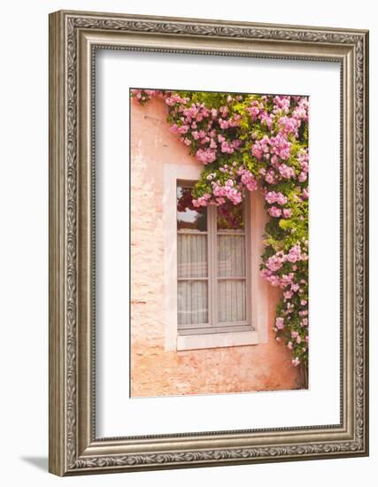 A Rose Covered Window in the Village of Noyers Sur Serein in Yonne, Burgundy, France, Europe-Julian Elliott-Framed Photographic Print