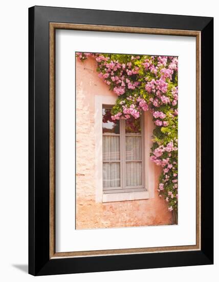 A Rose Covered Window in the Village of Noyers Sur Serein in Yonne, Burgundy, France, Europe-Julian Elliott-Framed Photographic Print