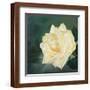 A Rose is a Rose 1-Lily Van Bienen-Framed Giclee Print