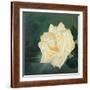 A Rose is a Rose 1-Lily Van Bienen-Framed Giclee Print