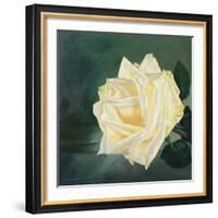 A Rose is a Rose 1-Lily Van Bienen-Framed Giclee Print