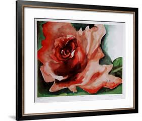 A Rose Is-Jenik Cook-Framed Collectable Print