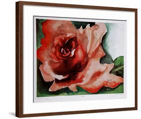 A Rose Is-Jenik Cook-Framed Collectable Print