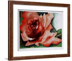 A Rose Is-Jenik Cook-Framed Collectable Print