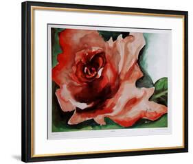 A Rose Is-Jenik Cook-Framed Collectable Print