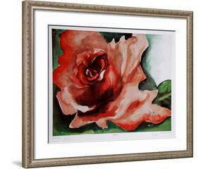 A Rose Is-Jenik Cook-Framed Collectable Print