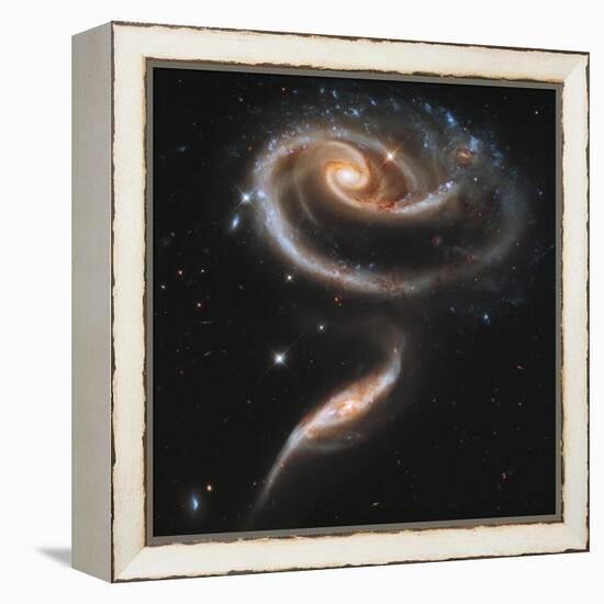 A "Rose" Made of Galaxies Highlights Hubble's 21st Anniversary-null-Framed Premier Image Canvas