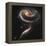 A "Rose" Made of Galaxies Highlights Hubble's 21st Anniversary-null-Framed Premier Image Canvas