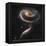 A "Rose" Made of Galaxies Highlights Hubble's 21st Anniversary-null-Framed Premier Image Canvas