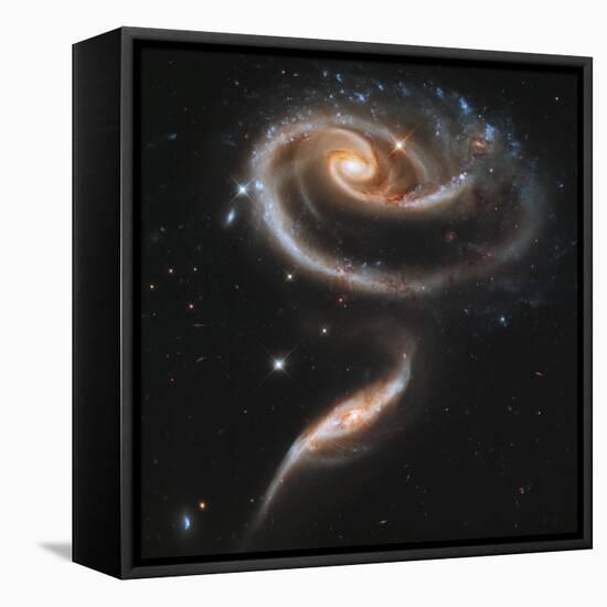 A "Rose" Made of Galaxies Highlights Hubble's 21st Anniversary-null-Framed Premier Image Canvas