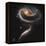 A "Rose" Made of Galaxies Highlights Hubble's 21st Anniversary-null-Framed Premier Image Canvas