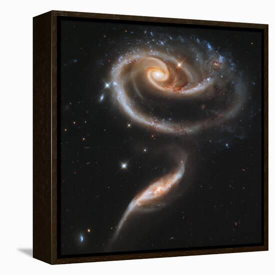 A "Rose" Made of Galaxies Highlights Hubble's 21st Anniversary-null-Framed Premier Image Canvas