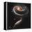 A "Rose" Made of Galaxies Highlights Hubble's 21st Anniversary-null-Framed Premier Image Canvas