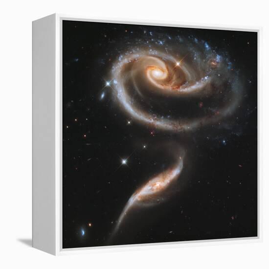 A "Rose" Made of Galaxies Highlights Hubble's 21st Anniversary-null-Framed Premier Image Canvas