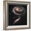 A "Rose" Made of Galaxies Highlights Hubble's 21st Anniversary-null-Framed Photographic Print