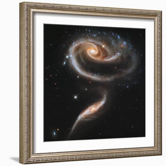 A "Rose" Made of Galaxies Highlights Hubble's 21st Anniversary-null-Framed Photographic Print