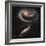 A "Rose" Made of Galaxies Highlights Hubble's 21st Anniversary-null-Framed Photographic Print