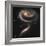 A "Rose" Made of Galaxies Highlights Hubble's 21st Anniversary-null-Framed Photographic Print