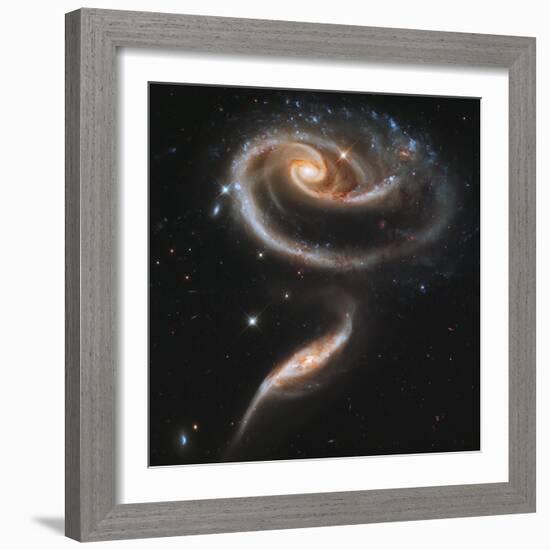 A "Rose" Made of Galaxies Highlights Hubble's 21st Anniversary-null-Framed Photographic Print