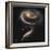 A "Rose" Made of Galaxies Highlights Hubble's 21st Anniversary-null-Framed Photographic Print