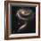 A "Rose" Made of Galaxies Highlights Hubble's 21st Anniversary-null-Framed Photographic Print