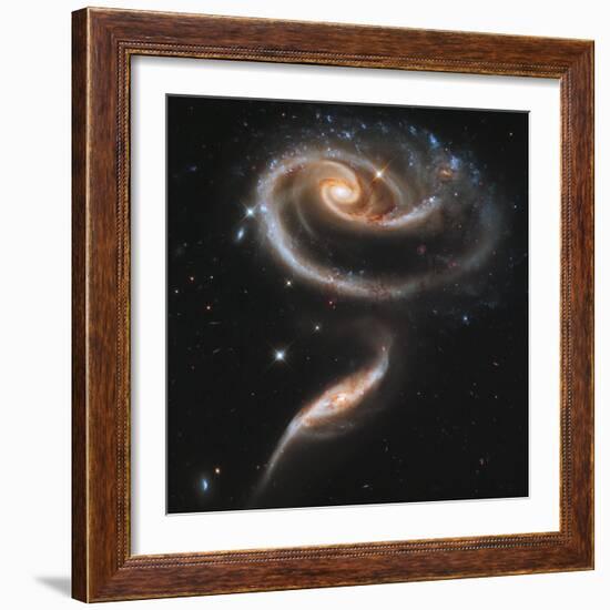 A "Rose" Made of Galaxies Highlights Hubble's 21st Anniversary-null-Framed Photographic Print