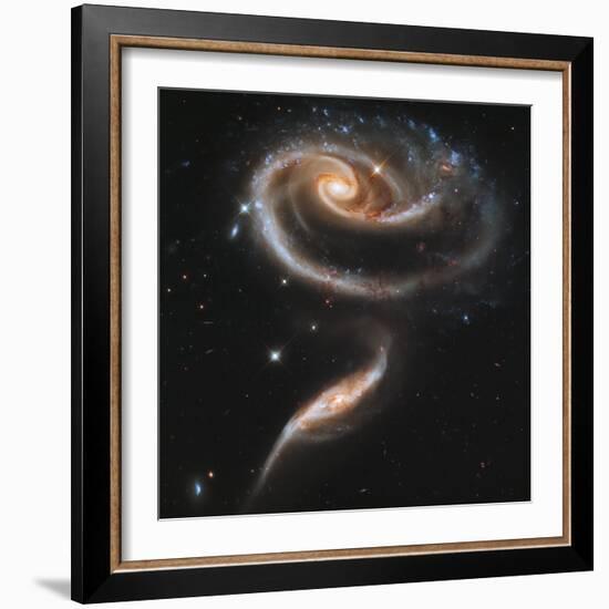 A "Rose" Made of Galaxies Highlights Hubble's 21st Anniversary-null-Framed Photographic Print