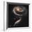 A "Rose" Made of Galaxies Highlights Hubble's 21st Anniversary-null-Framed Photographic Print