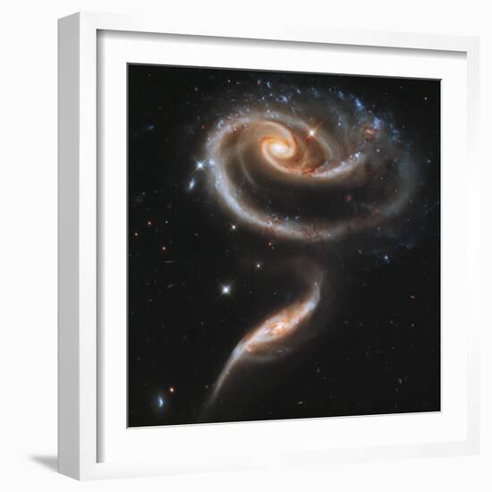 A "Rose" Made of Galaxies Highlights Hubble's 21st Anniversary-null-Framed Photographic Print